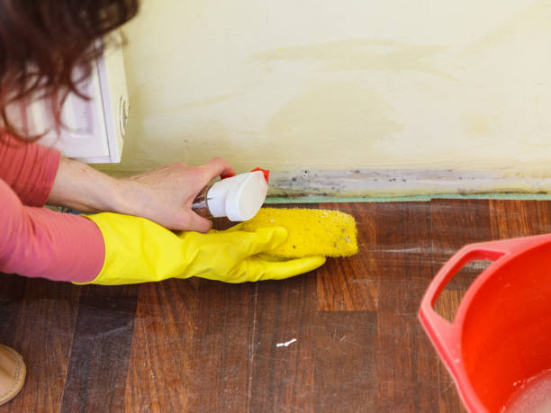 Asbestos and Lead Testing During Mold Inspection in Victoria, MS